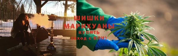 альфа пвп Медвежьегорск